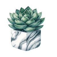 AI generated Succulent with a marble-patterned square pot  watercolor clipart png
