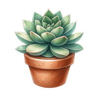 AI generated Succulent plant with a terracotta pot and pebbles. watercolor clipart png