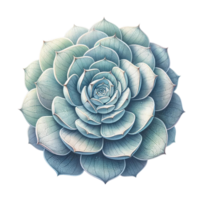 AI generated Beautiful Succulent watercolor clipart. png