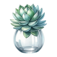 AI generated Succulent plant with a modern glass planter watercolor clipart png