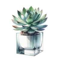 AI generated Succulent plant with a modern glass planter watercolor clipart png