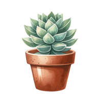 AI generated Succulent plant with a terracotta pot and pebbles. watercolor clipart png