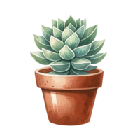 ai generado suculento planta con un terracota maceta y guijarros acuarela clipart png