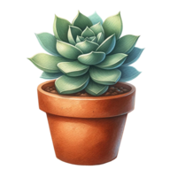 AI generated Succulent plant with a terracotta pot and pebbles. watercolor clipart png