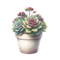 AI generated Succulents plant with a concrete planter watercolor clipart png