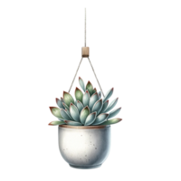 AI generated succulent with a hanging ceramic planter watercolor clipart png