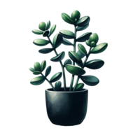 ai gegenereerd sappig planten in een minimalistische zwart pot waterverf clip art png