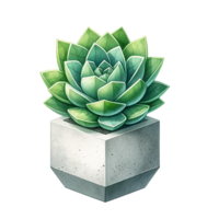 AI generated Succulent with a concrete geometric planter watercolor clipart png