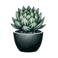 ai gegenereerd sappig planten in een minimalistische zwart pot waterverf clip art png
