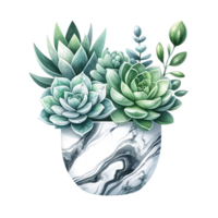 AI generated Succulent with a marble-patterned square pot  watercolor clipart png