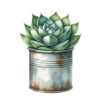 AI generated Succulents  with a vintage-style metal pot  watercolor clipart png