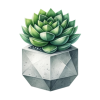 AI generated Succulent with a concrete geometric planter watercolor clipart png