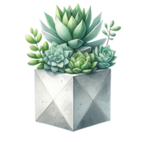 AI generated Succulent with a concrete geometric planter watercolor clipart png