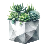 AI generated Succulent with a concrete geometric planter watercolor clipart png