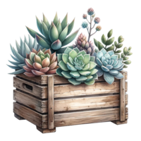 AI generated Succulent arrangement in a vintage crate  watercolor clipart png