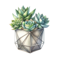 AI generated Succulent plant with a metallic geometric planter watercolor clipart png