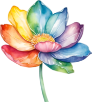 ai generiert Aquarell Gemälde von ein süß Regenbogen Blume. png