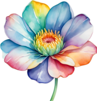 ai generiert Aquarell Gemälde von ein süß Regenbogen Blume. png