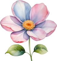 ai gegenereerd waterverf schilderij van een schattig pastel bloem. png