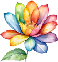 ai generiert Aquarell Gemälde von ein süß Regenbogen Blume. png