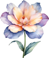 AI generated Watercolor painting of a cute pastel flower. png