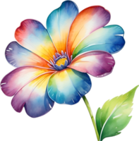 ai generiert Aquarell Gemälde von ein süß Regenbogen Blume. png