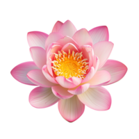 ai generiert Lotus Blume isoliert auf transparent Hintergrund oben Aussicht png