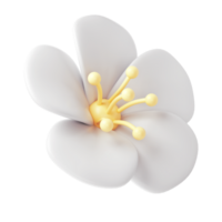 3d White spring cherry blossom flower transparent. Including petals, and bud. Graphic cute element design for web, greeting card png