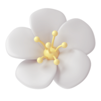 3d White spring cherry blossom flower transparent. Including petals, and bud. Graphic cute element design for web, greeting card png