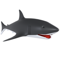 requin isolé sur transparent png