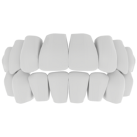 Teeth isolated on transparent png