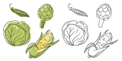 Small set with hand drawn line art vegetables. Sketch style. Flat icons peas, artichoke, cabbage, corn. Vector illustration isolated on a white background.