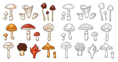 Inedible mushrooms set in line art style. Collection of colorful and monochrome mushrooms. Vector illustration isolated on a white background.