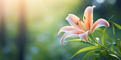 AI generated Close up Detail of a Beautiful Lily Blossom photo