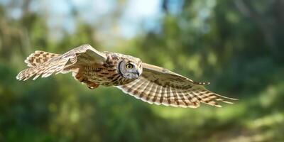 AI generated Owl ascends through the dense woods photo