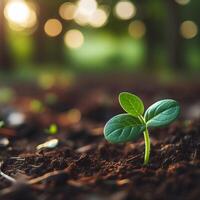 AI generated Sprouting Life, Green Seedling in Soil, Ecology Concept photo