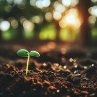 AI generated Sprouting Life, Green Seedling in Soil, Ecology Concept photo