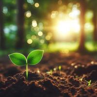 AI generated Sprouting Life, Green Seedling in Soil, Ecology Concept photo