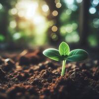 AI generated Sprouting Life, Green Seedling in Soil, Ecology Concept photo