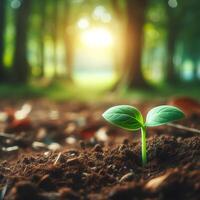AI generated Sprouting Life, Green Seedling in Soil, Ecology Concept photo