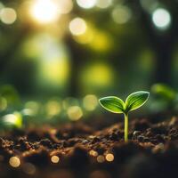 AI generated Sprouting Life, Green Seedling in Soil, Ecology Concept photo