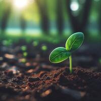 AI generated Sprouting Life, Green Seedling in Soil, Ecology Concept photo