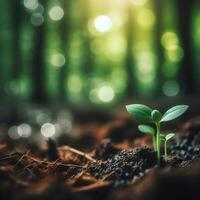 AI generated Sprouting Life, Green Seedling in Soil, Ecology Concept photo