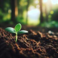 AI generated Sprouting Life, Green Seedling in Soil, Ecology Concept photo