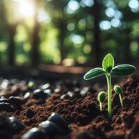 AI generated Sprouting Life, Green Seedling in Soil, Ecology Concept photo