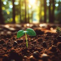 AI generated Sprouting Life, Green Seedling in Soil, Ecology Concept photo