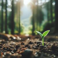 AI generated Sprouting Life, Green Seedling in Soil, Ecology Concept photo