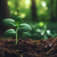 AI generated Sprouting Life, Green Seedling in Soil, Ecology Concept photo