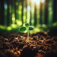 AI generated Sprouting Life, Green Seedling in Soil, Ecology Concept photo