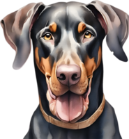 ai generiert Dobermann Pinscher Hund. Aquarell Clip Art. png